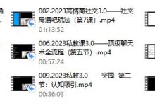 陈哥《核心私教3.0》-恋爱虎
