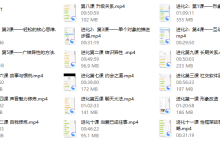 偷先生《进化》-恋爱虎