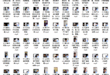 林老头《精华直播案例内部完整版》2023-恋爱虎