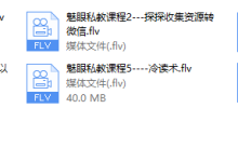 魅眼私教课程（完结）-恋爱虎