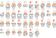 九颜私教课程-恋爱虎