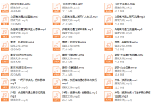 沐阳私教2.0-恋爱虎