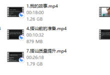 Leon方法2.0-恋爱虎
