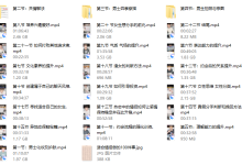 迪诺情感《2020情受私教课》-恋爱虎