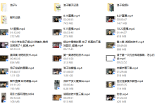 浪子私教-恋爱虎