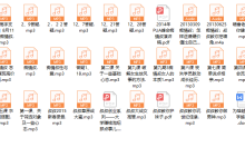 痴情叔内部YY音频-恋爱虎