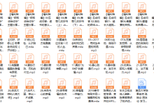 陈果人生果然不同-恋爱虎