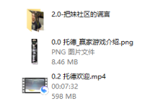 TODD-赢家游戏-恋爱虎