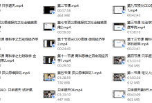 男哥内核-只手遮天1.0-恋爱虎