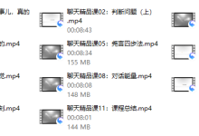 绅士派 《聊天精品课》-恋爱虎