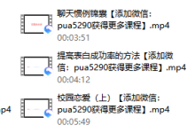 恋爱启示录-恋爱虎