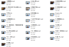 朱利安pimp中文翻译-恋爱虎