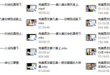 完美男友VIP会员——梵公子-恋爱虎