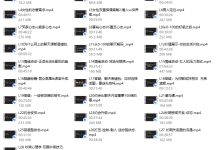 昊哥《CAC 3.0 心理训练营》-恋爱虎