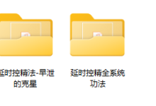 延时控精全系统课程-恋爱虎