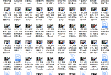 承情 精华直播案例（内部完整版）-恋爱虎