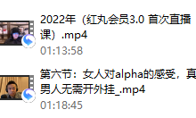 红丸会员3.0plus-恋爱虎