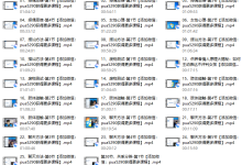 路易团队2017追逐直播课-恋爱虎
