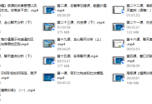 2020麋鹿老师恋爱基础课-恋爱虎