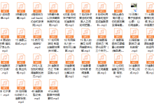 西图情感 第一毕业序章 幽默课-恋爱虎