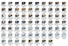 聊天地图-恋爱虎