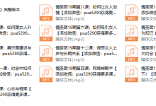 网恋情圣19期-恋爱虎