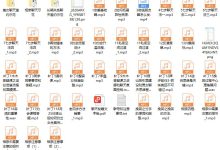 2023校长高情商VIP-恋爱虎