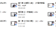 yy网聊备忘录-恋爱虎