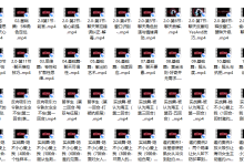 搭讪大师 良叔《偷心聊法Plus》-恋爱虎