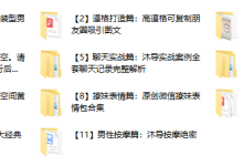 沐神私教实战把妹VIP课程-恋爱虎