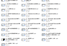 重开计划(大橙2.0)-恋爱虎
