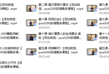 泰阳《极致·把妹1.0》-恋爱虎