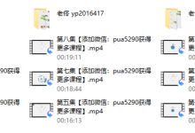 2017年浪迹教育《老佟419课程》-恋爱虎