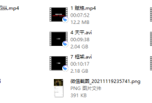 四横四纵-恋爱虎
