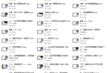 老吴《中级情感私教》-恋爱虎