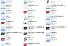 天使狙击队《内部1.0+2.0》-恋爱虎