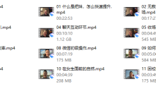 瑞恩Starter-恋爱虎