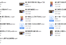 馄饨哥真男人教学课程（更新版）-恋爱虎