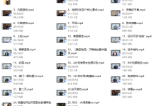 朱利安《PIMP》皮条客中文版《最新完整版》-恋爱虎