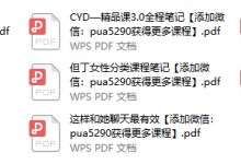 但丁-内部文档资料-恋爱虎