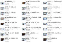 朱丽安《pimp》皮条客中文版-恋爱虎