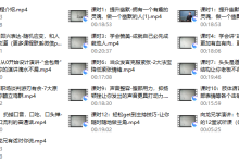 12堂高效表达课（完结）-恋爱虎