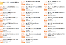 红丸十大人生法则（音频版）-恋爱虎