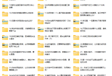 素云第十七期 脱单进阶班VIP-恋爱虎