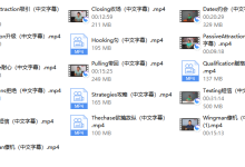 瑞恩《高分洋妞》-恋爱虎