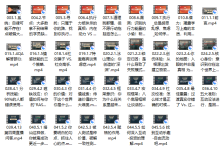 社交光谱 社交大师班【8周成社交国王】-恋爱虎