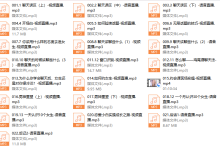 天马情感《感觉流5.0》-恋爱虎