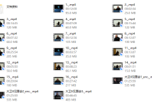 大卫X规则解释【一致性】-恋爱虎