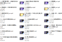 Simon2024新课【情感蓝图】「更新完毕」-恋爱虎