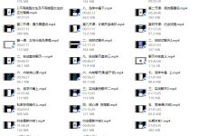 七爱私教3.0-恋爱虎